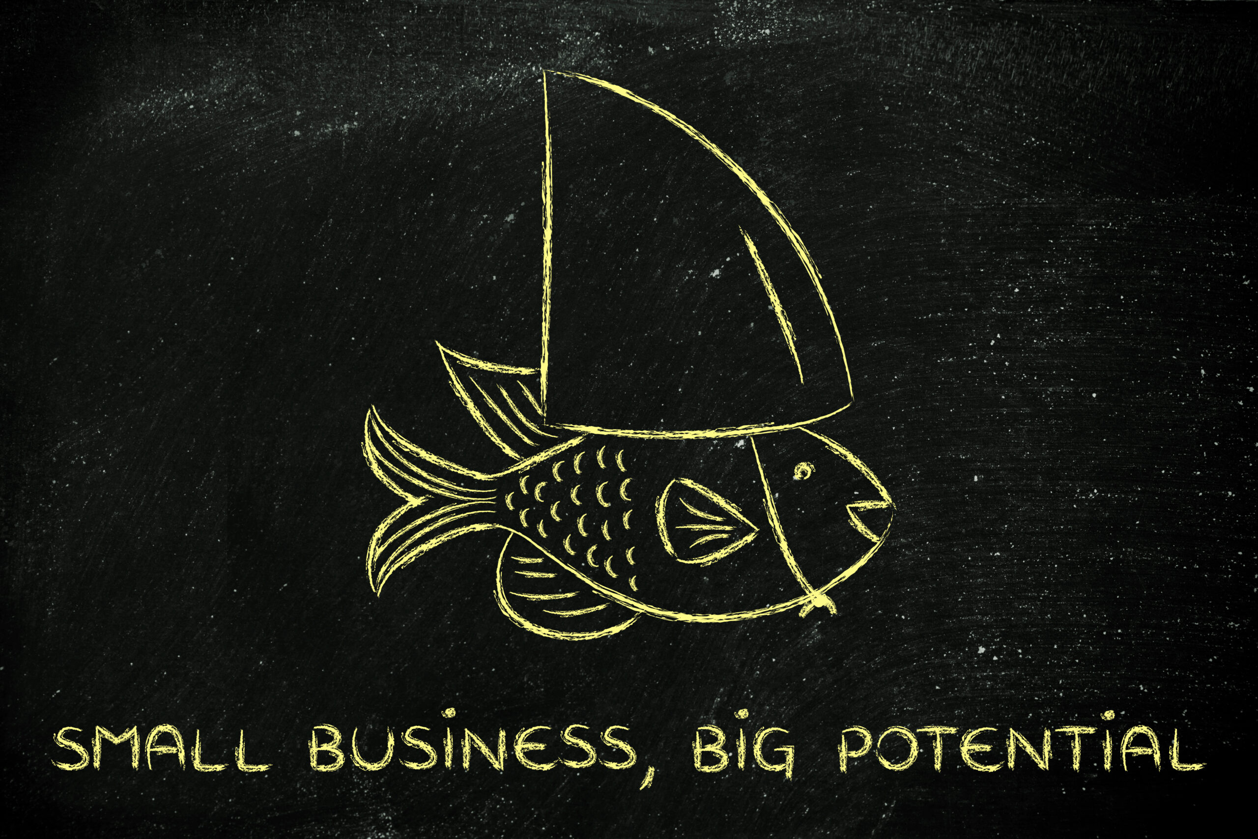 Empowering small businesses